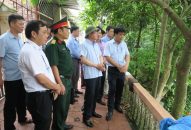 Phòng, chống bão số 2: Từ 18h00 ngày 3/7 ngưng hoạt động phà Quán Trang, huyện An Lão