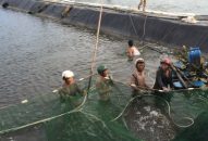 Kiểm tra công tác phòng, chống bão số 2 tại huyện Tiên Lãng, Vĩnh Bảo