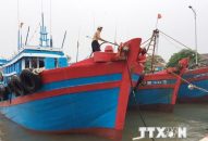 Các địa phương tích cực kêu gọi tàu thuyền vào tránh trú bão số 2