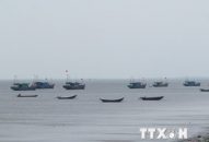 Bão số 2 cách đất liền các tỉnh từ Hải Phòng đến Nam Định khoảng 180km