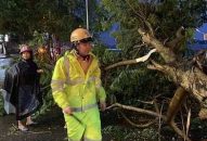 Ảnh hưởng bão số 2, cây xanh đổ vào 2 phụ nữ đi trên đường