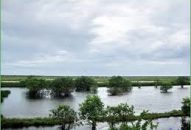 Công an huyện Tiên Lãng huy động 100% CBCS phòng chống bão số 2