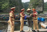 Căng sức ứng phó bão số 2