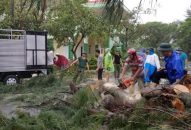 Cận cảnh nơi bão số 2 vừa quét qua