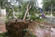 Hải Phòng: Theo dõi chặt diễn biến thời tiết, tránh sự cố sau bão số 2