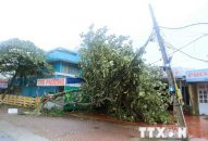 Chủ động ứng phó với mưa lớn do hoàn lưu của cơn bão số 2