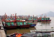 Kêu gọi gần 4.000 tàu cá vào bờ trú ẩn an toàn