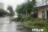 Bão số 2 suy yếu thành áp thấp, vùng núi đề phòng lũ quét và sạt lở