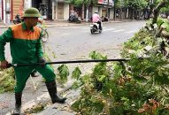 Bão số 2 gây nhiều thiệt hại tại các địa phương