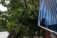 Huyện An Dương: Tập trung chống ngập úng đối với diện tích rau, cây cảnh