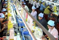 Ký kết EVFTA và EVIPA – Cơ hội mới cho kinh tế Hải Phòng và cả nước (Kỳ 2): Chủ động để hội nhập