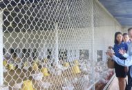 Chuyển giao khoa học kỹ thuật cho 763 thanh niên