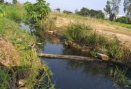 Huyện An Dương:  Bàn giải pháp khắc phục ruộng bỏ hoang