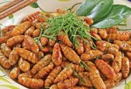 Lưu ý khi ăn nhộng tằm