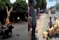 Pháp luật 24h: Thông tin mới vụ nam thanh niên lao xe máy hất tung CSGT