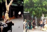 Giao thông 24h: Xe đi ngược chiều gây tai nạn khiến hai người thương vong