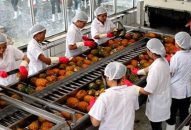 Xuất khẩu rau quả tăng mạnh