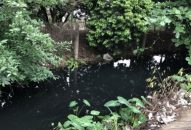 Huyện An Dương: Xử phạt gần 69 triệu đồng vi phạm hành chính trong lĩnh vực môi trường