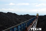 Cảnh sát biển tạm giữ 2000 tấn bã xít không rõ nguồn gốc