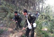 Cháy 2,18 ha rừng