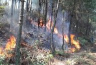 Tăng cường các biện pháp phòng cháy, chữa cháy rừng