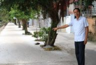 Bí thư chi bộ gương mẫu đi đầu trong công việc