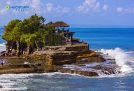 Lữ hành Saigontourist tri ân lớn nhất năm: “Săn” tour chỉ từ 500.000 đồng