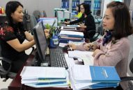 Phấn đấu hết tháng 12 hoàn thành rà soát 100% DN trong dữ liệu do cơ quan thuế cung cấp