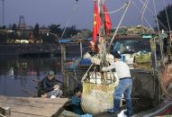 Quận Đồ Sơn:  264 thuyền viên được hỗ trợ kinh phí mua bảo hiểm tai nạn thuyền viên