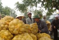 Huyện Tiên Lãng: Sẽ xây dựng 4 vùng sản xuất nông nghiệp tập trung ứng dựng công nghệ cao