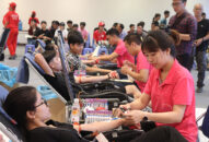 Hàng vạn người dân tham gia hiến máu Hành trình Đỏ 2019