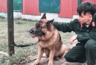 Tiểu đoàn Cảnh sát đặc nhiệm số 1 thông tin về việc chiến sỹ nghĩa vụ tử vong