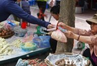 [Photo] Làm thế nào để giải bài toán xử lý chất thải nhựa?