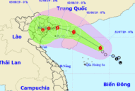 Áp thấp nhiệt đới đã mạnh lên thành bão số 3 Wipha giật cấp 10
