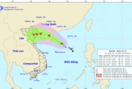 Tin bão mới nhất: Bão số 3 Wipha có khả năng mạnh thêm, giật cấp 11