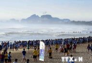 Giải pháp thực hiện Chiến lược quản lý tổng hợp đới bờ Việt Nam