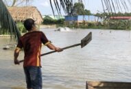 28 HTX, Tổ hợp tác mới được thành lập