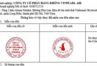 Vingroup lập hãng hàng không Vinpearl Air