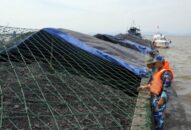 Tạm giữ 2000 tấn than không rõ nguồn gốc