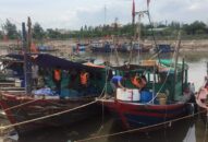 Hải Phòng: Gần 2.700 phương tiện vào nơi tránh trú an toàn