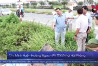 Hải Phòng phòng chống bão Wipha