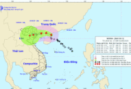 Bão số 3 Wipha khó lường, gây mưa to gió giật diện rộng ở miền Bắc