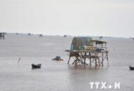 Chủ động triển khai các phương án ứng phó với bão số 3 Wipha