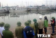 Các địa phương khẩn trương triển khai ứng phó với bão số 3