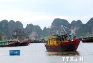 Hải Phòng: Điều động 2 tàu cứu hộ ứng trực bão số 3 tại vịnh Lan Hạ