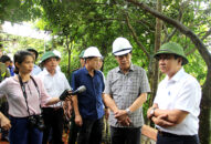 Quận Kiến An và huyện An Lão chủ động tích cực trong công tác phòng chống bão số 3