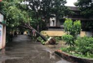 Bão số 3 ảnh hưởng không nghiêm trọng đến Hải Phòng