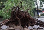 Hải Phòng: Chủ động khắc phục hậu quả sau bão, bảo đảm giao thông khu vực các quận trung tâm thông suốt, an toàn