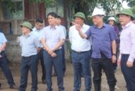 Quận Lê Chân không bị thiệt hại do bão số 3