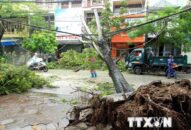 Bão số 3 khiến hơn 294.000 khách hàng của EVN chịu cảnh mất điện